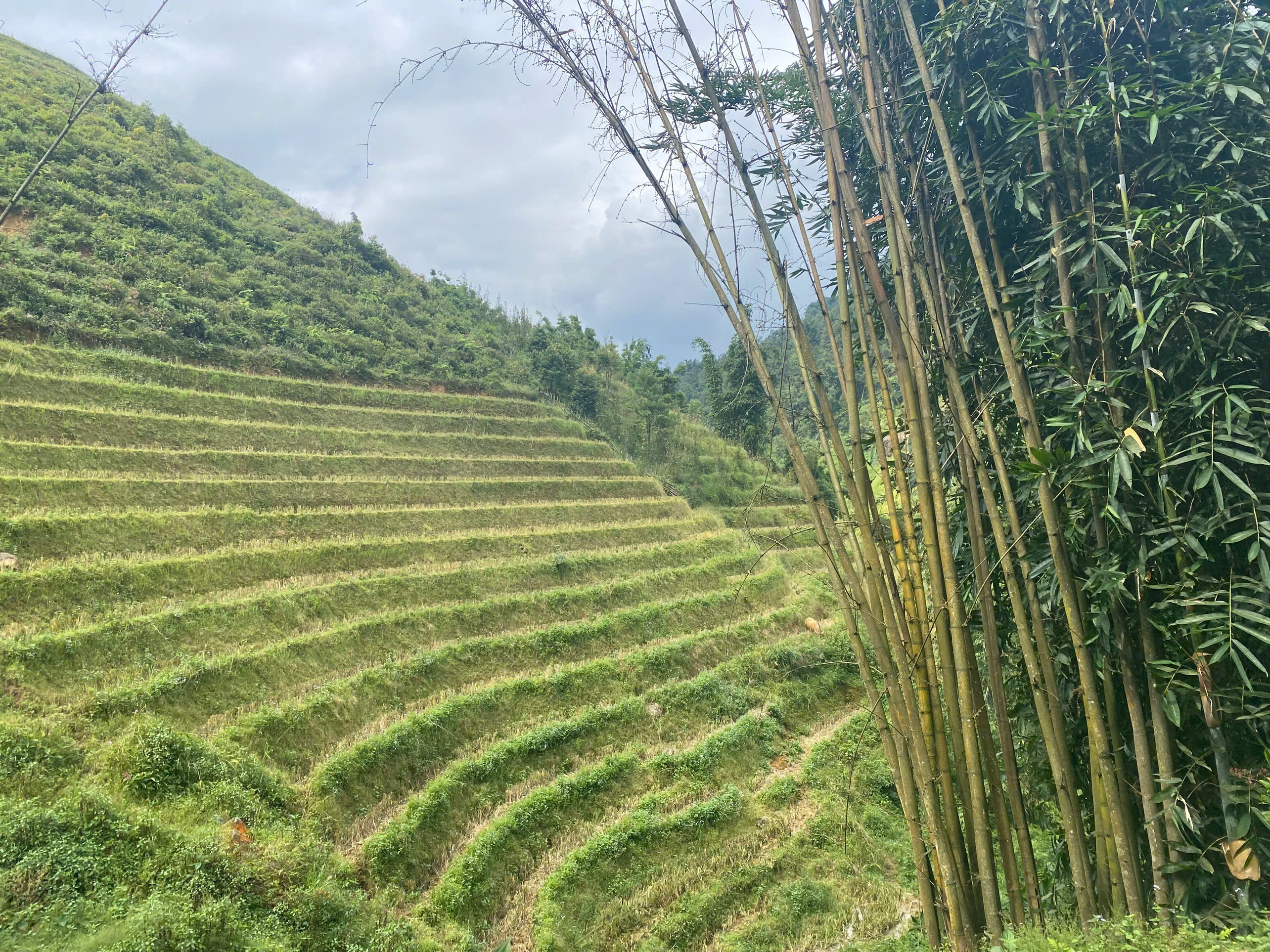 Half-Day Sapa Trekking Tour to Lao Chai & Ta Van